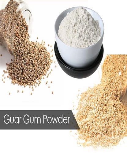 Guar Gum Powder & Derivatives